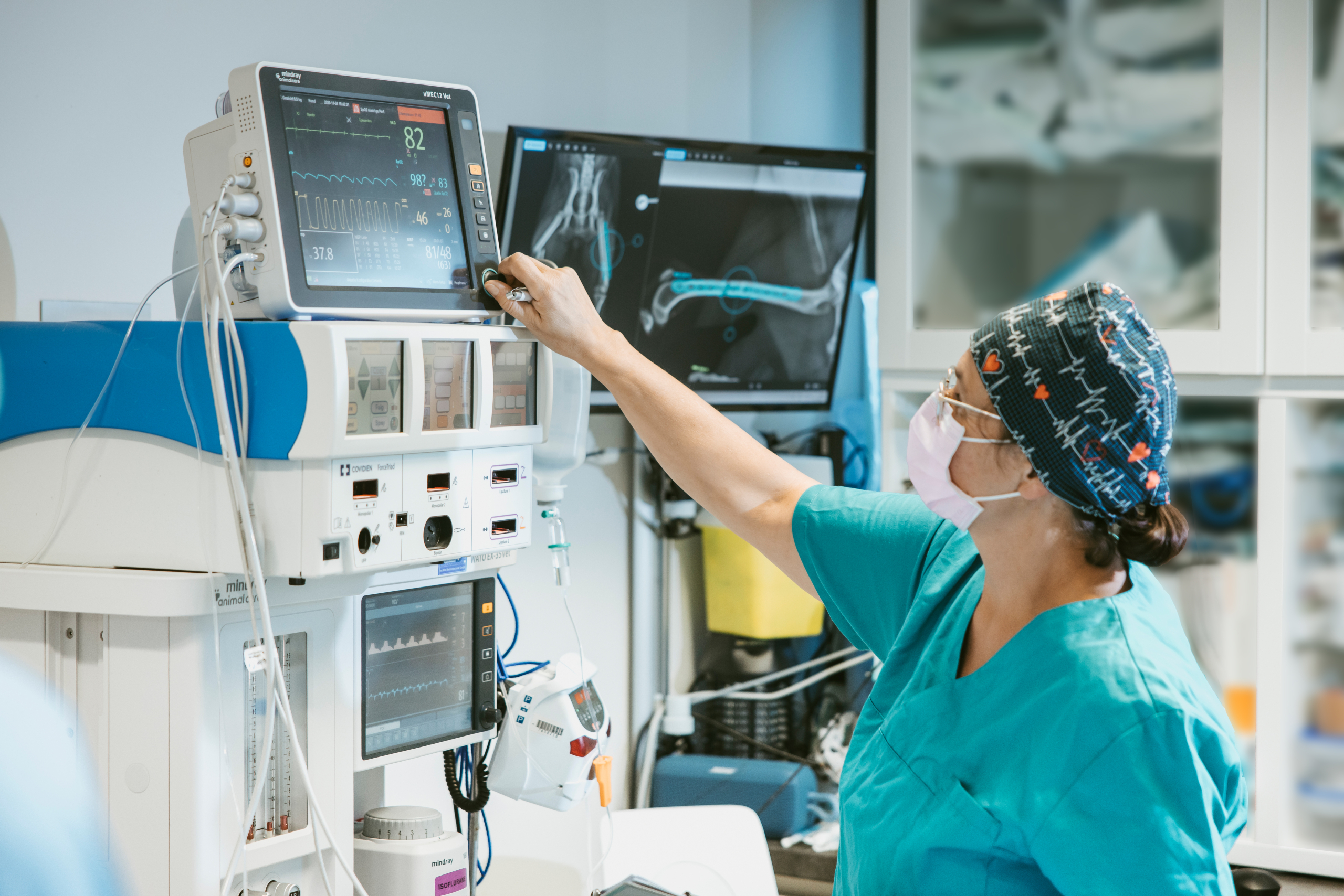 Tierarzt am Alpenzoo