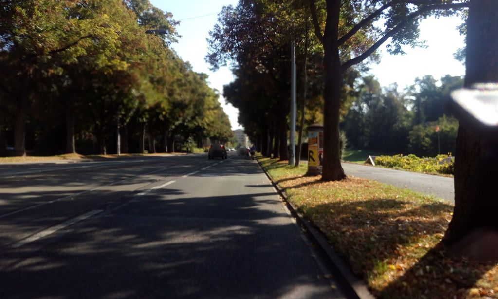 Stadtteilpark Holligen