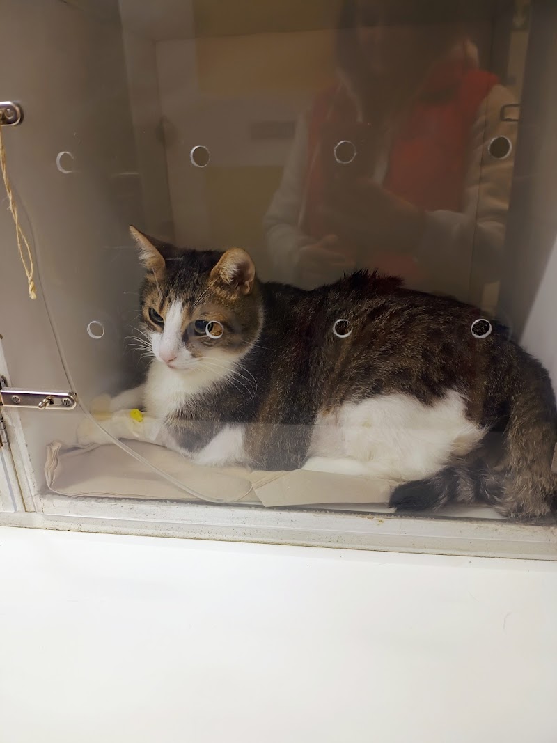 Kleintierpraxis Dr. med. vet. Thomas Schuster