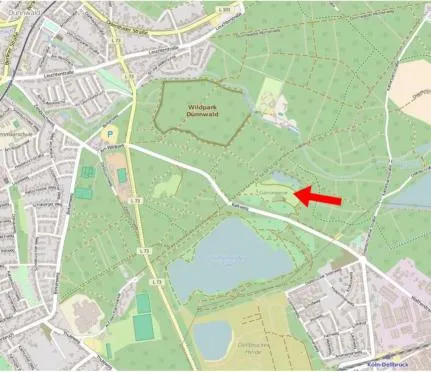 Gänsewiese (Wildpark Dünnwald)