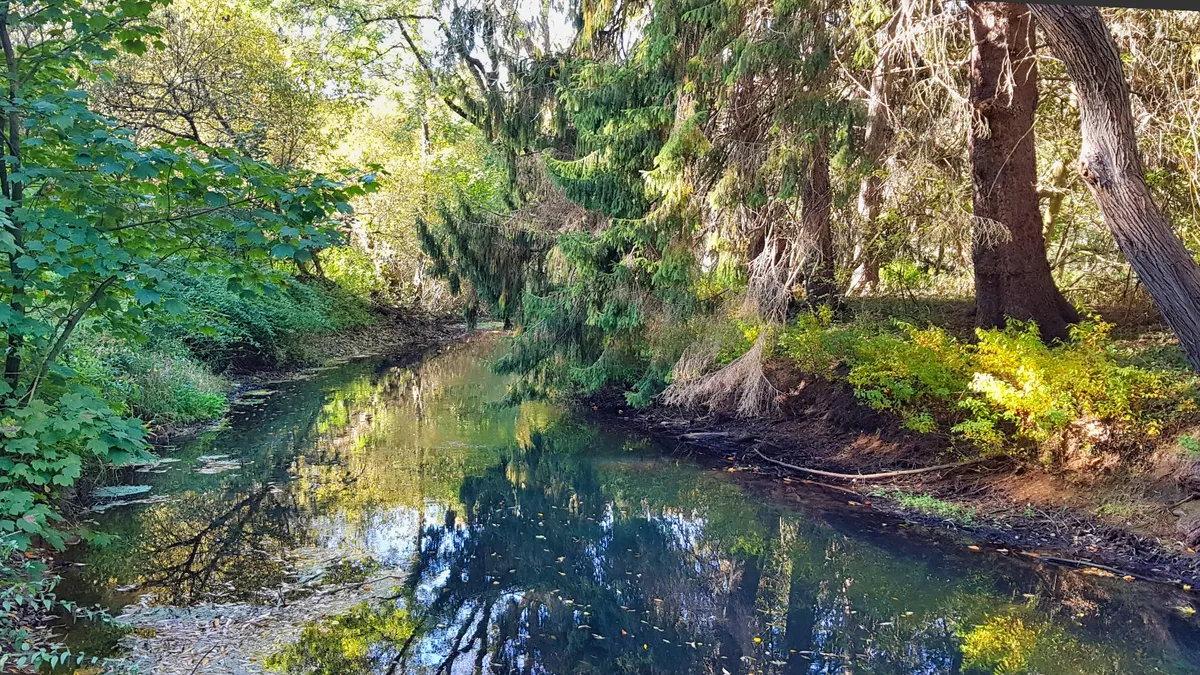 Alstertal-Wanderwald — Foto 1