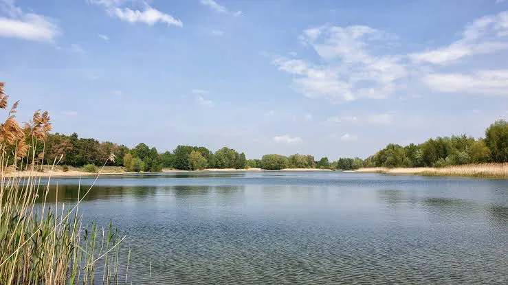 Kaulsdorfer See — Hundestrand in Berlin, mit Freilauf