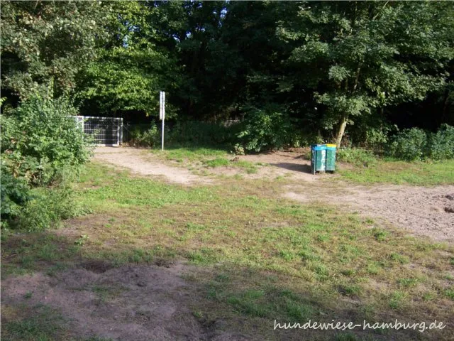 Alsterwiesen Freilauf