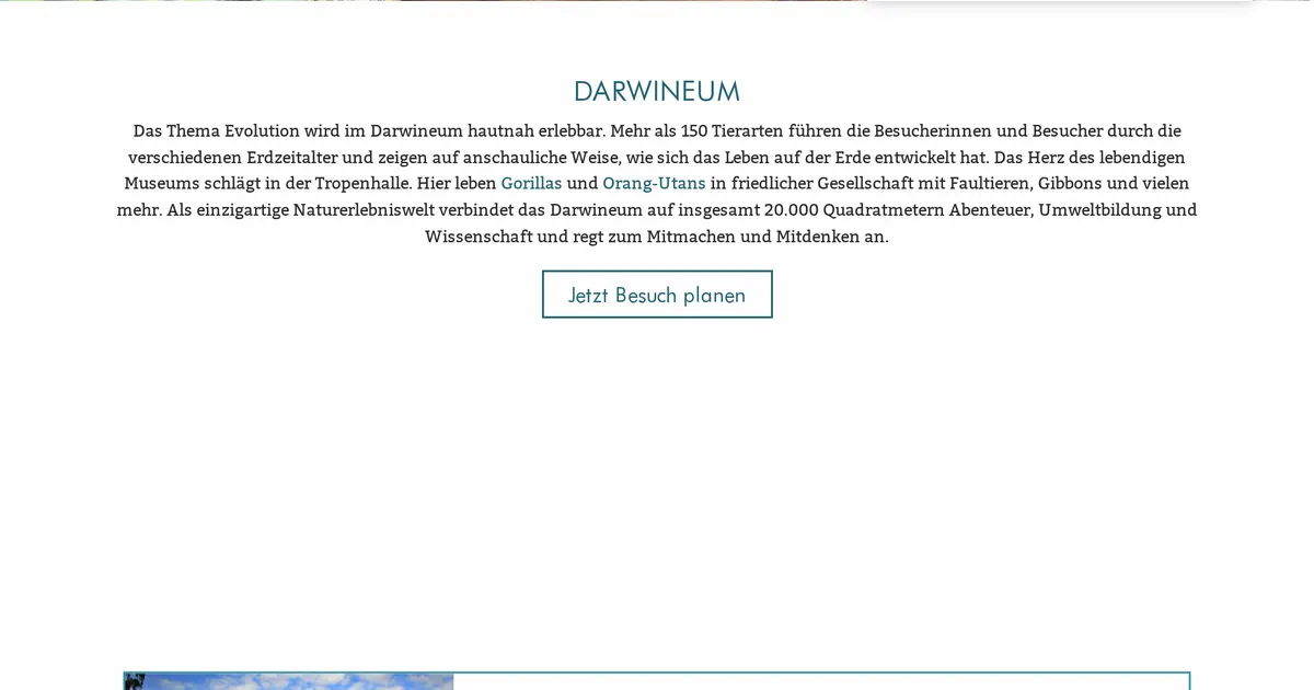 SB Restaurant Darwineum