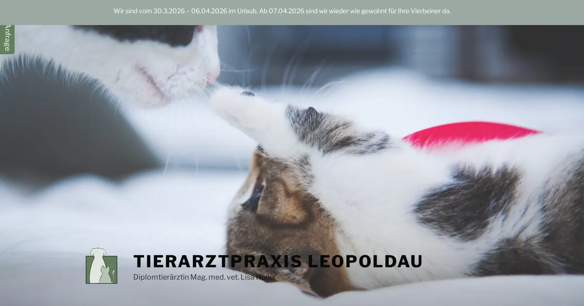 Tierarztpraxis Leopoldau