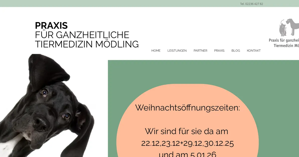 Praxis für ganzheitliche Tiermedizin