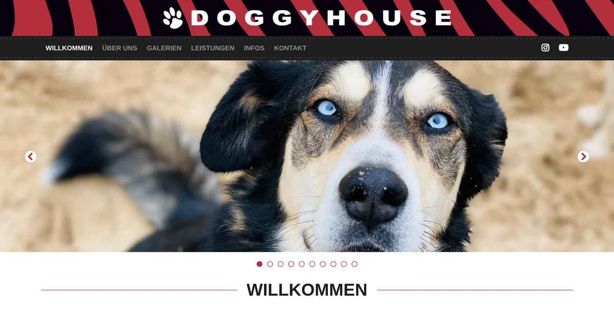 Doggyhouse