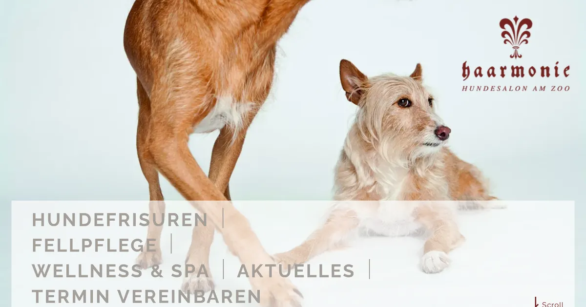 Haarmonie Hundesalon am Zoo