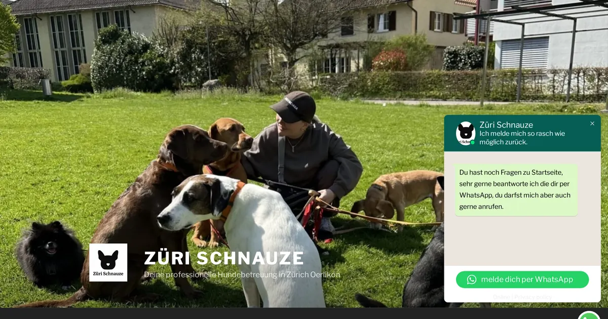 Züri Schnauze