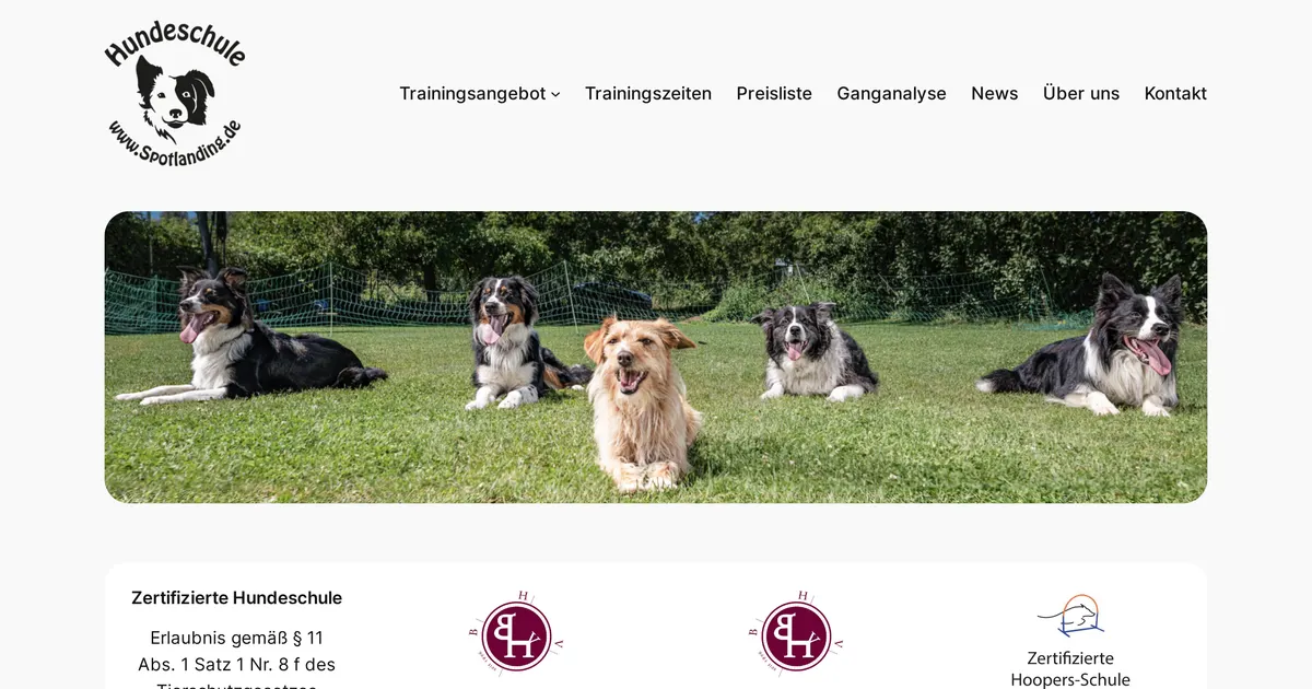 Hundeschule KeDi
