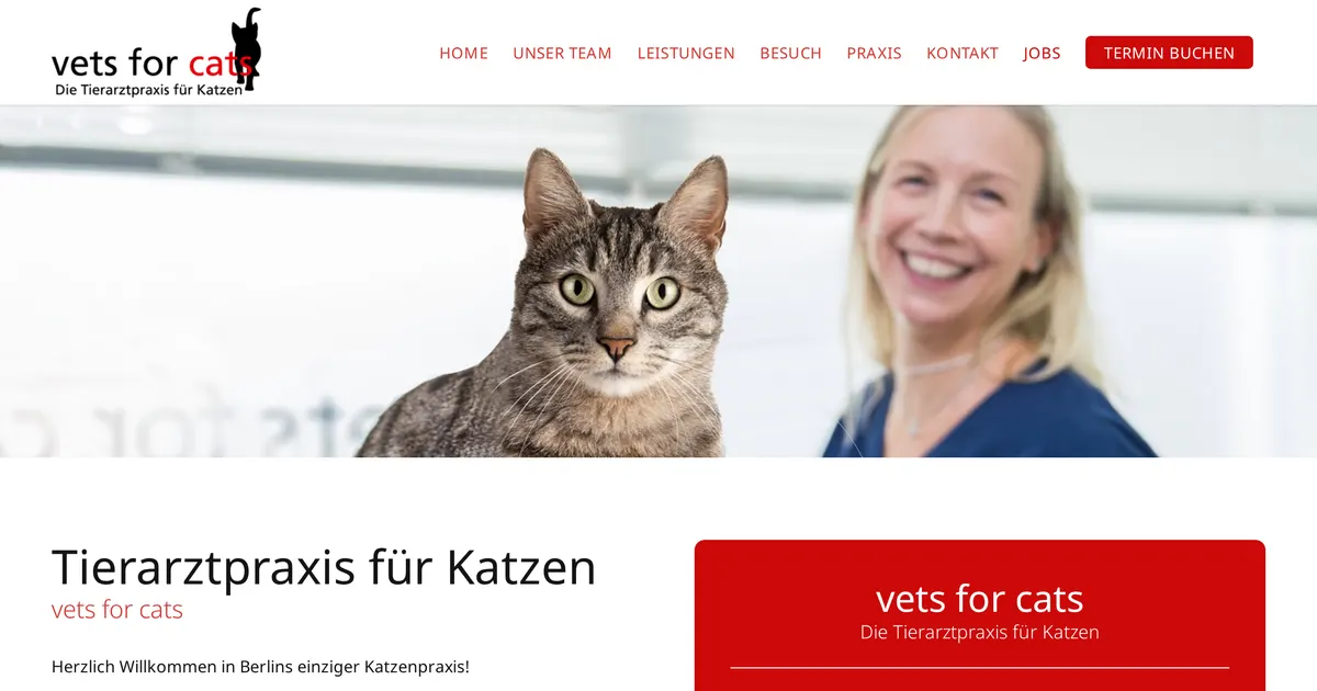 Vets for cats — Tierarzt in Berlin