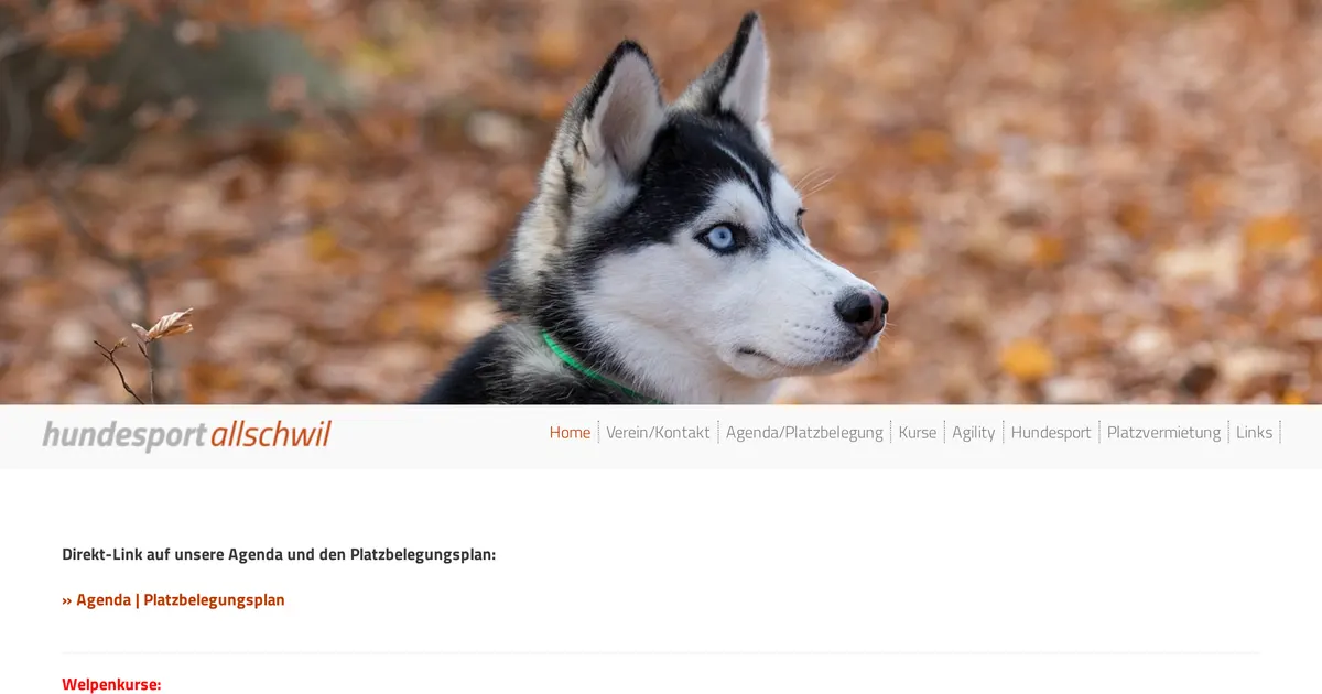 Hundesport