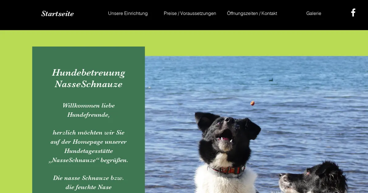 Hundebetreuung NasseSchnauze
