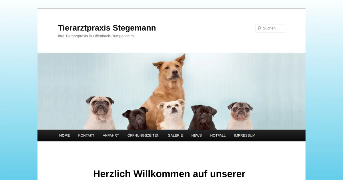 I. Stegmann — Tierarzt in Frankfurt