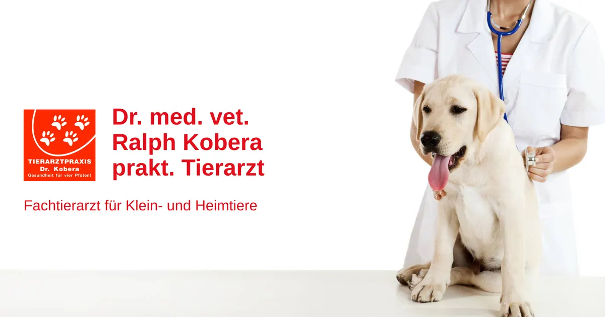 Dr.med.vet.Kobera — Tierarzt in Dresden