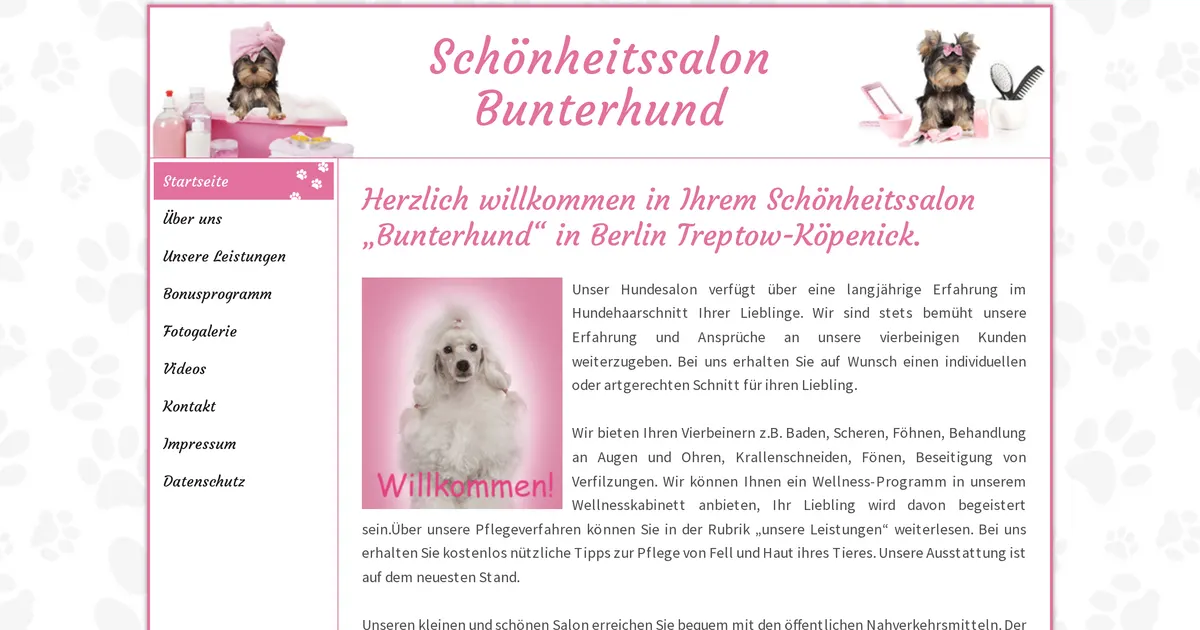 Bunterhund — Hundefriseur / Groomer in Berlin