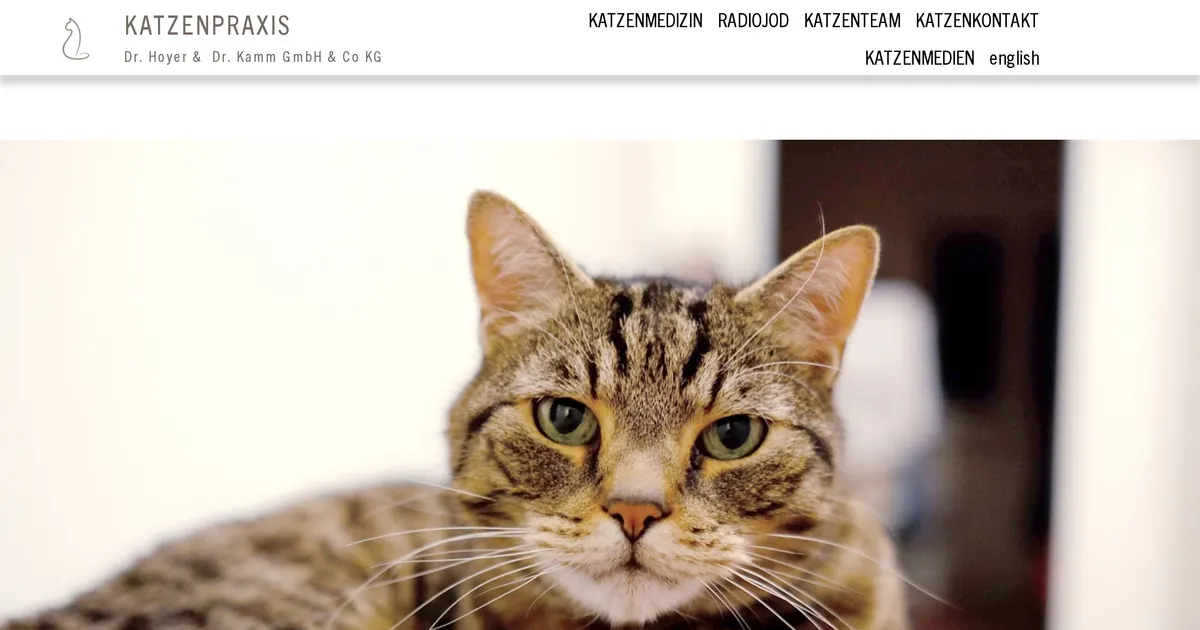 Katzenpraxis