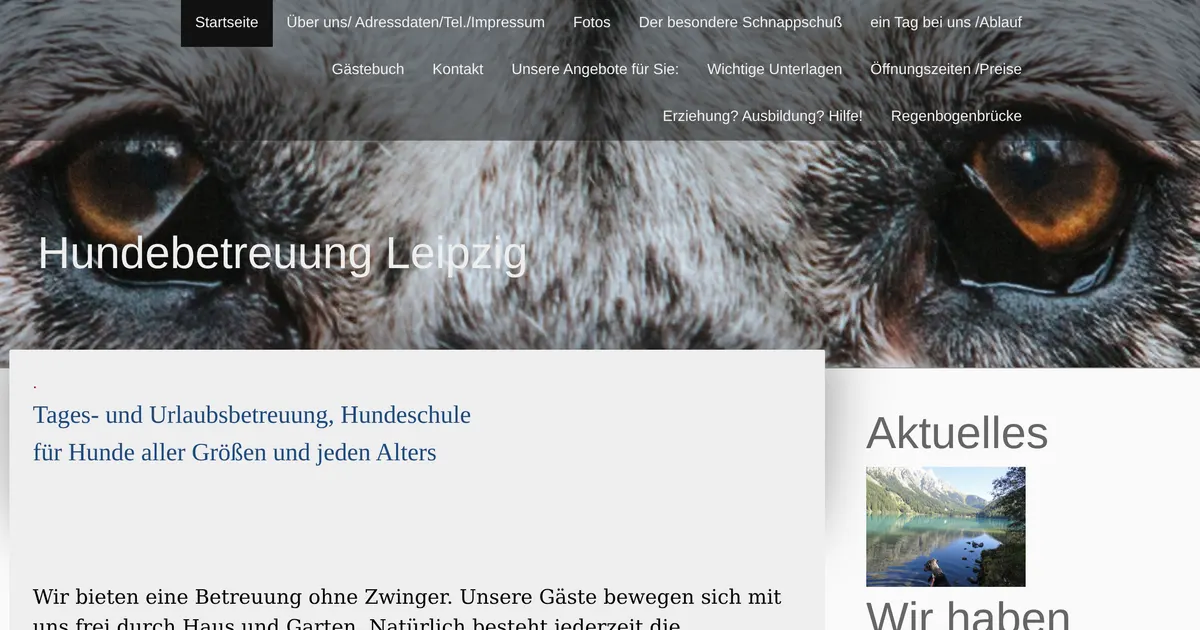 Hundebetreuung Leipzig