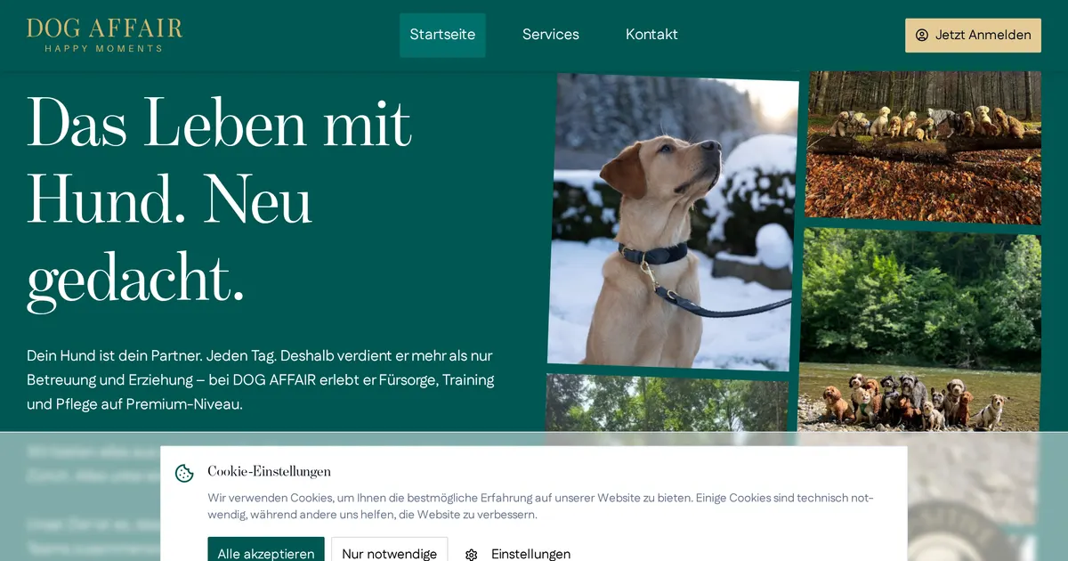 Dog Affair