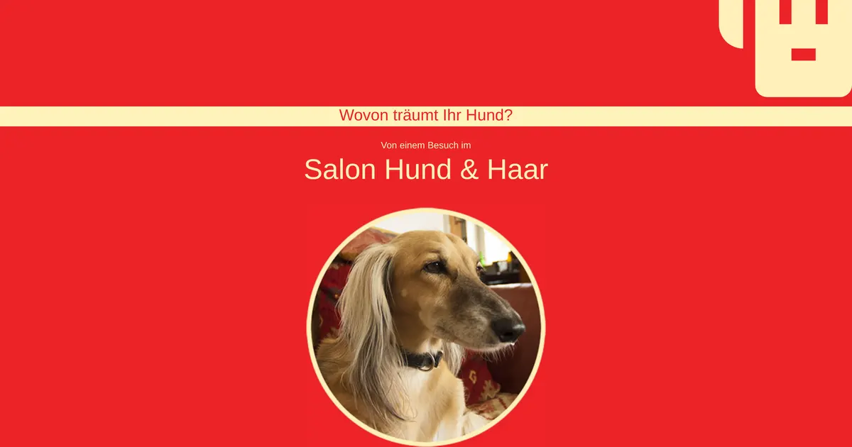 Salon Hund & Haar